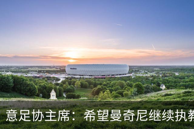 意足协主席：希望曼奇尼继续执教 没想到会这样