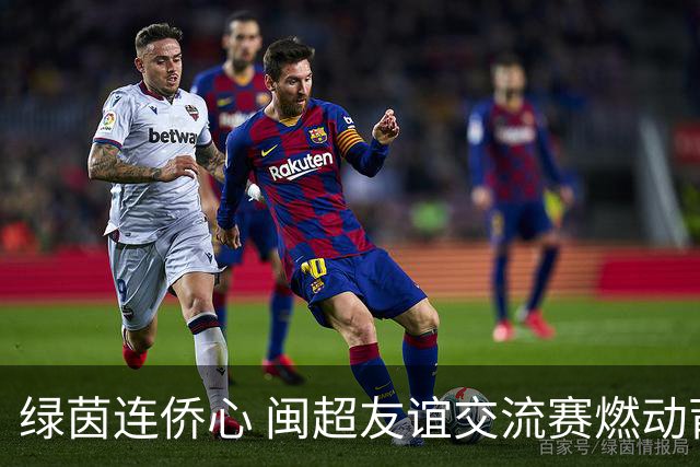 绿茵连侨心 闽超友谊交流赛燃动莆田
