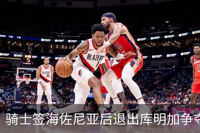 骑士签海佐尼亚后退出库明加争夺战 湖人成唯一追求者