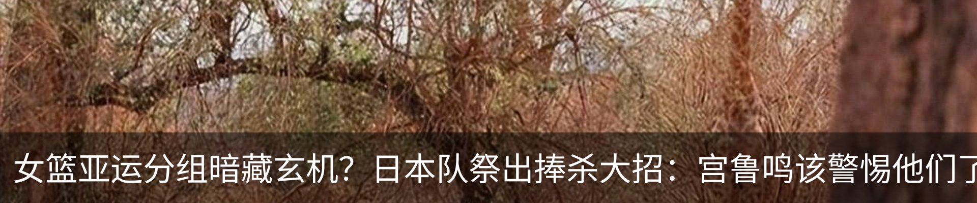 最新动态