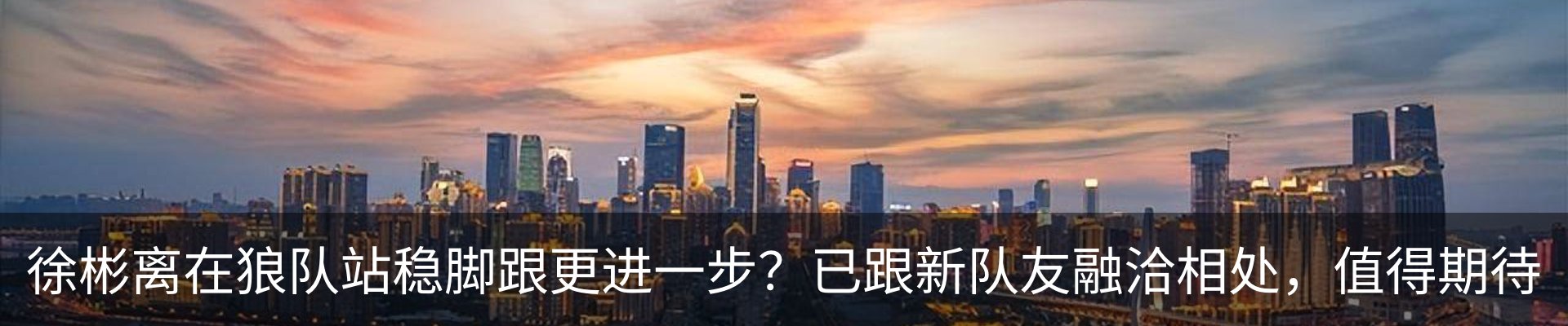 最新动态