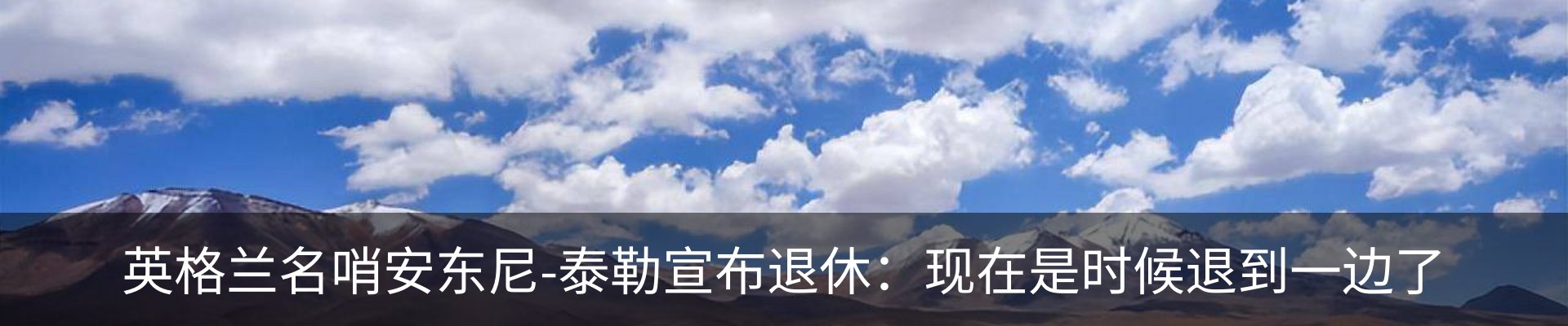最新动态