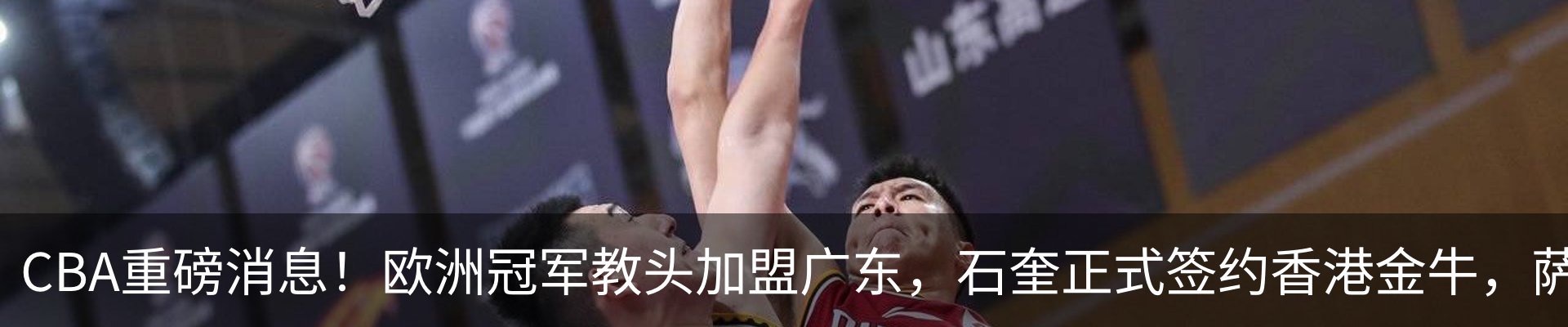 最新动态